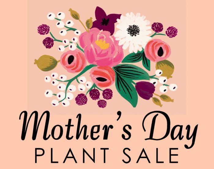 Mothers Day Flowers Sale : 1-800-Flowers Mothers Day Free Shipping