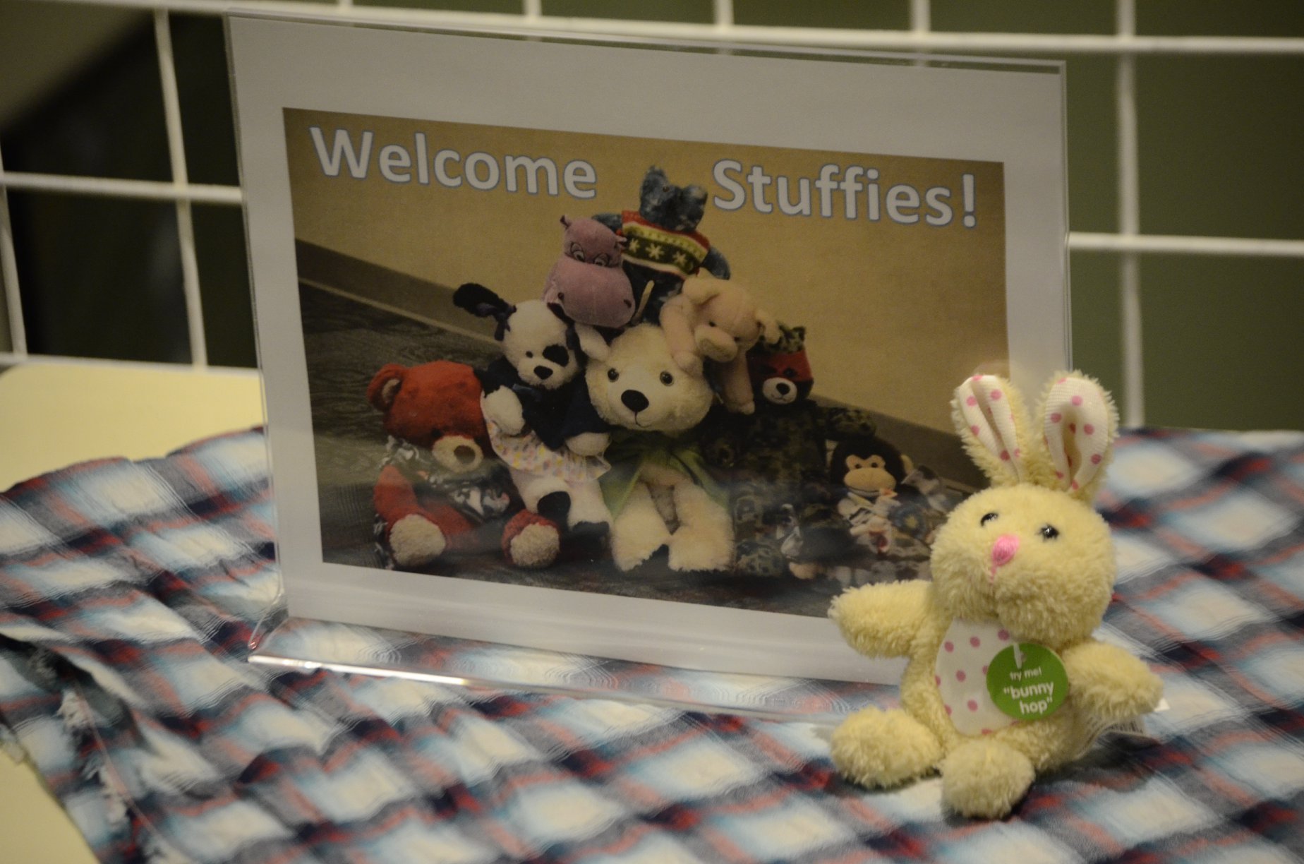 stuffie sleepover slides