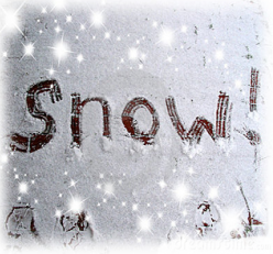 NPL Closed Due to Inclement Weather