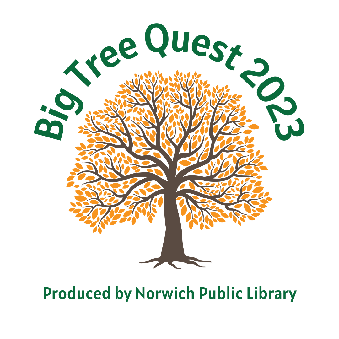 Big Tree Quest @ NPL 2023