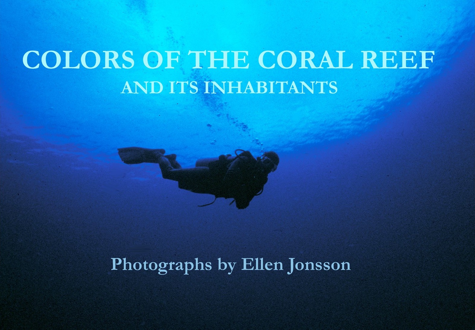 Community Art Exhibit: Colors of the Coral Reef & Its Inhabitants
